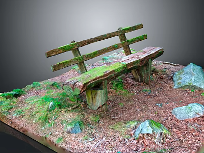 Old Wooden Moss Covered Outdoor Bench Surrounded by Grass Fallen Leaves and Stones 3d model