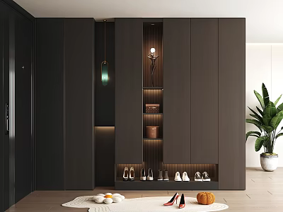 Modern Luxury Shoe Cabinet Interior Design With Storage Shelves And 3d model