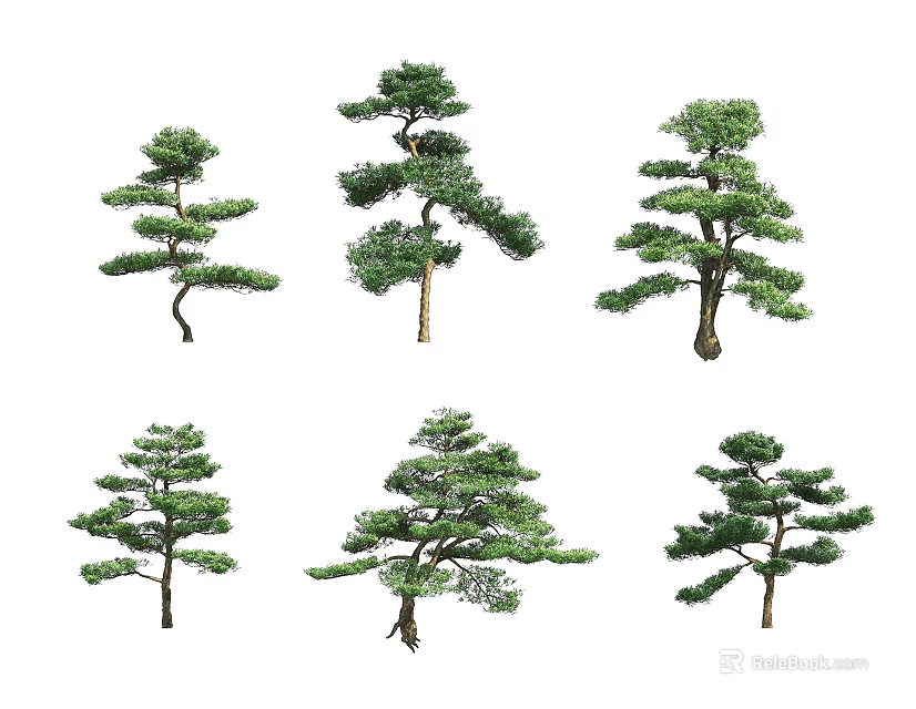 Different Shaped Ornamental Trees with Lush Green Foliage and Curved Branches 3d model 