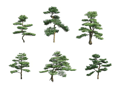 Different Shaped Ornamental Trees with Lush Green Foliage and Curved Branches 3d model