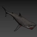 Great White Shark With Open Mouth Sharp Teeth On Blue Background 3d model