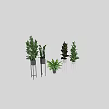 Various Indoor Potted Plants with Large Green Leaves Modern Metal Stands and White Black Planters