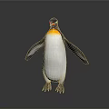 Standing Penguin With Black And White Feathers Orange Beak Isolated On White Background