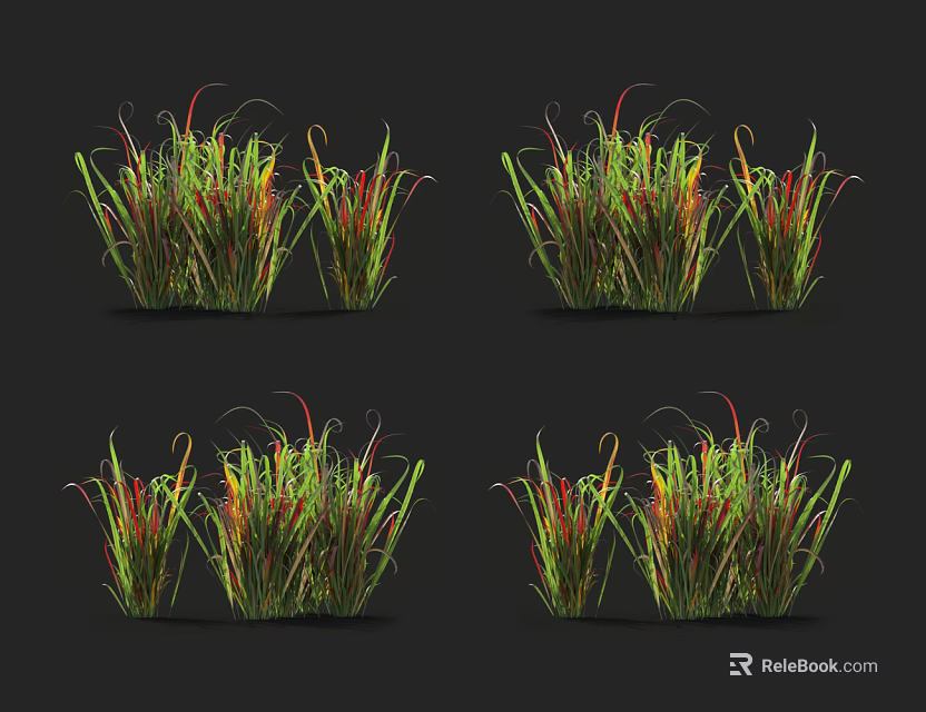 Colorful Ornamental Grass Clusters With Red Green Foliage Against Dark Background 3d model 