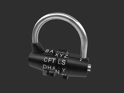 Sturdy Security Door with Silver U Shaped Padlock and Black Lock Body 3d model