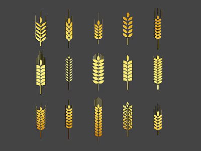 Golden Wheat Ears with Various Designs on Dark Background for Crop Illustrations 3d model