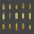 Golden Wheat Ears with Various Designs on Dark Background for Crop Illustrations