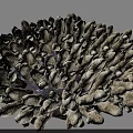 Aquatic Plant Coral Dense Brown Textured Structure In Underwater Marine Environment
