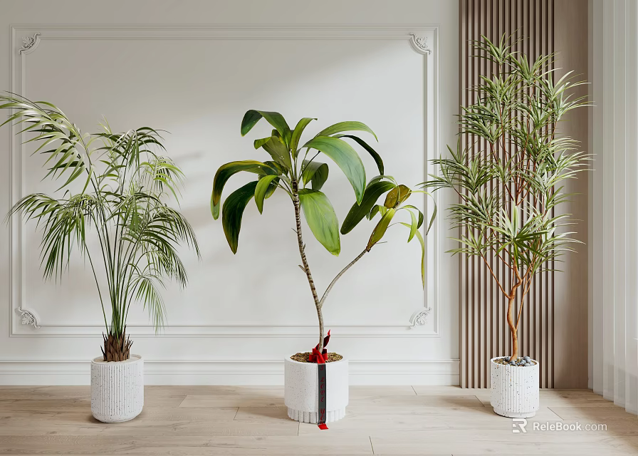 Potted Bonsai Plants With Different Varieties Large Green Leaves In White Indoor Pots 3d model 