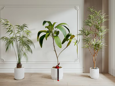 Potted Bonsai Plants With Different Varieties Large Green Leaves In White Indoor Pots 3d model