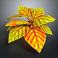 Vibrant Potted Plant With Yellow And Red Striped Leaves For Indoor Decor