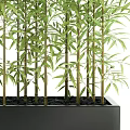 Green Bamboo Potted Plant In Black Rectangular Container With Lush Leaves 3d model