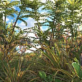 Shrubs With Lush Ferns And Purple Flowers In Sunlit Blue Sky Garden Scene