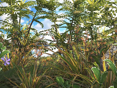Shrubs With Lush Ferns And Purple Flowers In Sunlit Blue Sky Garden Scene 3d model