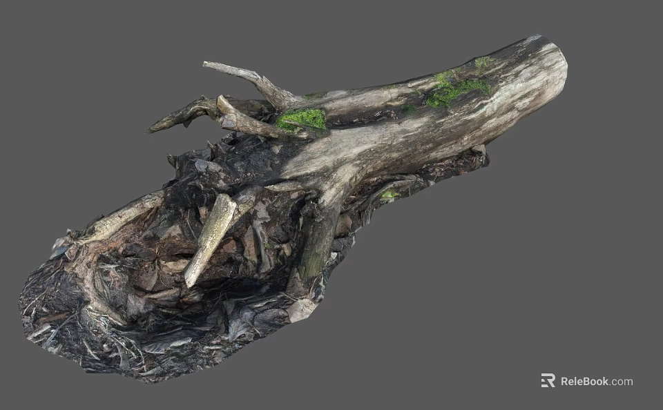Rough Weathered Tree Stump With Natural Texture And Green Mossy Spots 3d model 