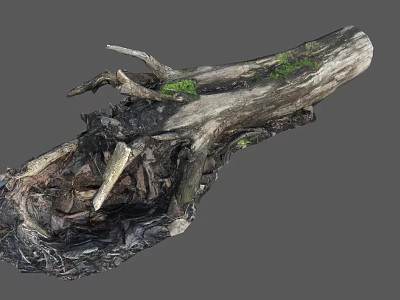 Rough Weathered Tree Stump With Natural Texture And Green Mossy Spots 3d model