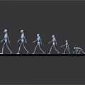 Medical Device Model Displaying Human Skeleton Walking Posture Evolution with Multiple Arranged Postures 3d model