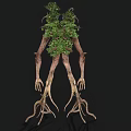 Tree Like Monster With Root Limbs Branch Antlers And Green Foliage