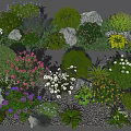 Various Colorful Flowers And Plants With Green Leaves Stones And Gravel