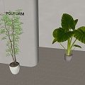 plant potted plant floor green plant potted plant 3d model