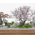 Serene Courtyard Garden with Cherry Blossom Maple Trees Stones Gravel Path And Wooden Flooring
