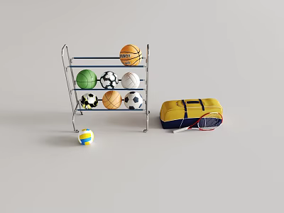 Sports Equipment Storage Rack with Basketball Football Volleyball and Tennis Racket for Gym Organization 3d model