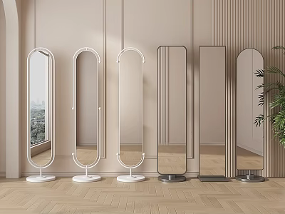 Various Full Length Mirrors With Modern Stand Designs In Bright Interior Room 3d model