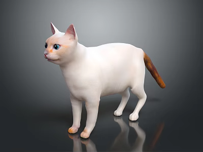 White Cat With Blue Eyes And Orange Tail Standing On Dark Background 3d model