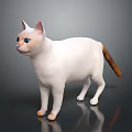 White Cat With Blue Eyes And Orange Tail Standing On Dark Background 3d model