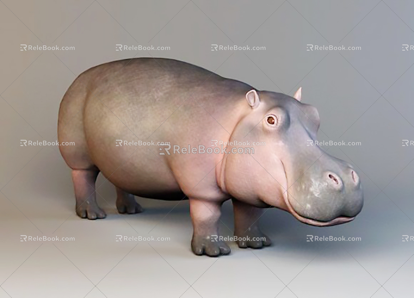 Modern animals hippo cyprus pygmy hippo hippo pygmy hippopotamus 3d model