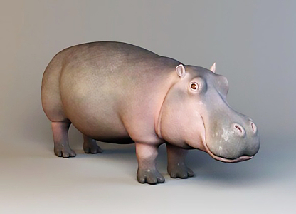 Modern animals hippo cyprus pygmy hippo pygmy hippopotamus 3d model