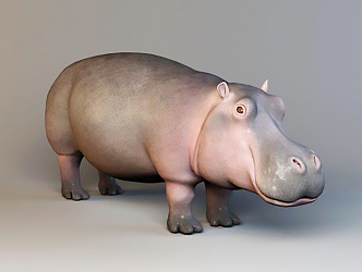 Modern animals hippo cyprus pygmy hippo pygmy hippopotamus 3d model