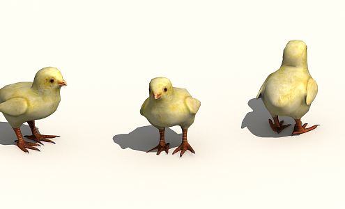 Modern Chicken Chick 3d model