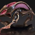Biomechanical Beetle like Creature with Metallic Exoskeleton Red Internal Structure Sharp Legs 3d model