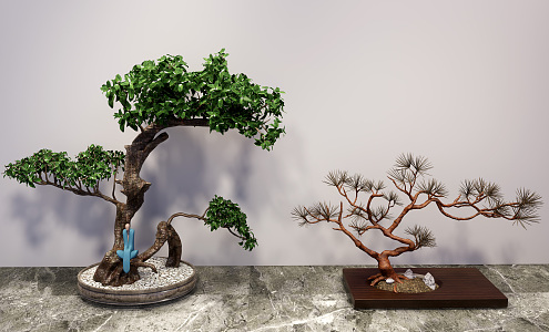 New Chinese Bonsai Green Plant End Landscape Ornaments 3d model