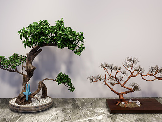 New Chinese Bonsai Green Plant End Landscape Ornaments 3d model