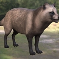 Modern Smokie Animal Creatures 3d model