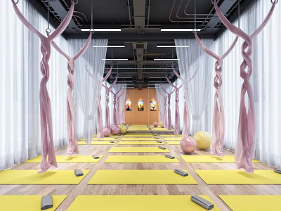Fitness Yoga Studio With Pink Hammocks Yellow Yoga Mats Exercise Balls And White Curtains 3d model
