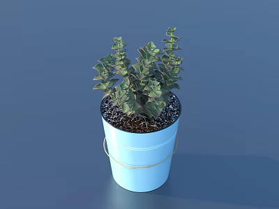 Succulent Plant With Thick Green Leaves In Blue Pot With White Handle And Black Soil 3d model