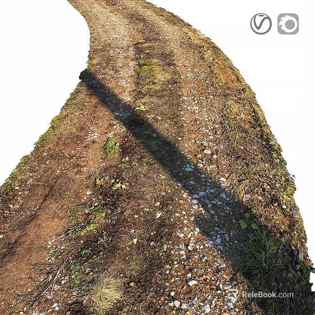 Rustic Dirt Path Structure with Gravel Weeds Grass and Extended Shadow Features 3d model 