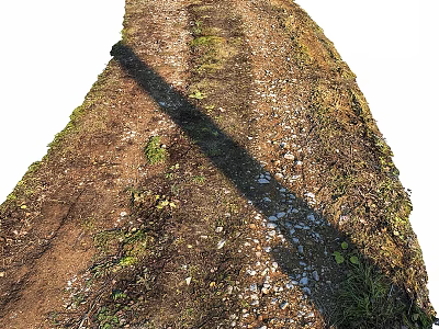 Rustic Dirt Path Structure with Gravel Weeds Grass and Extended Shadow Features 3d model