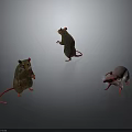 Three Mice In Different Colors With Standing Poses On Gray Background With Reflections