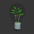 Green Plant Growing Inside Transparent Light Bulb With Fresh Green Leaves And Soil At The Bottom