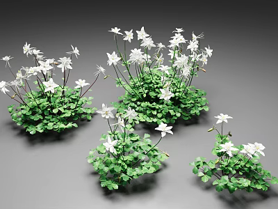 Blooming Small White Flowers With Green Leaves In Lush Plant Clusters 3d model