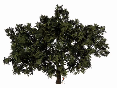 single tree 3d model single tree 3d model