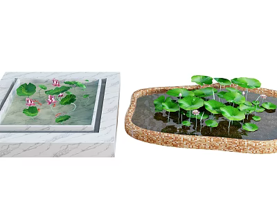 Beautiful Lotus Ponds With Pink Flowers Green Leaves Square Marble And Irregular Stone Edges 3d model