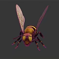Bee With Yellow And Black Stripes Transparent Wings Front View On Dark Background