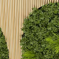 Vertical Living Plant Wall Design With Green Foliage And Wooden Stripe Background