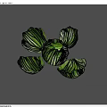 Vibrant Fresh Green Cabbage Leaves On Gray Background With Natural Shadows