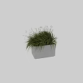 Decorative Ornament Set with Gray Square Planter Green Grass like Plants and White Flower Spikes